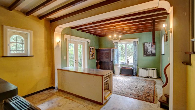 Kasteelvilla met bijgebouw op uniek domein 1 hectare 71 are met grote vijver foto 31