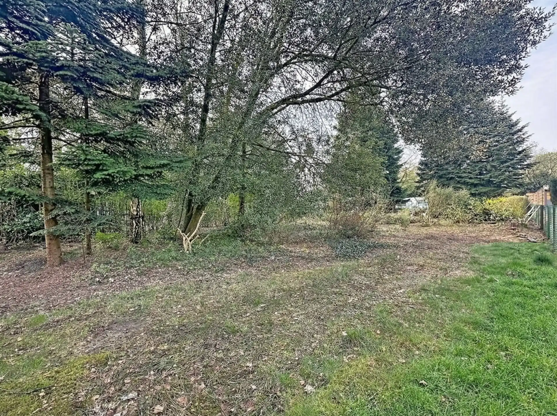 bos op 780m² grond foto 3