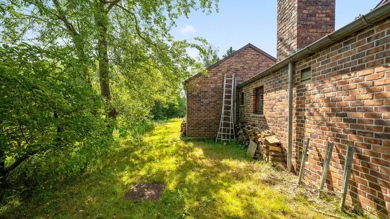 Landhuis alles gelijkvloers van 229m² op 19 are foto 25