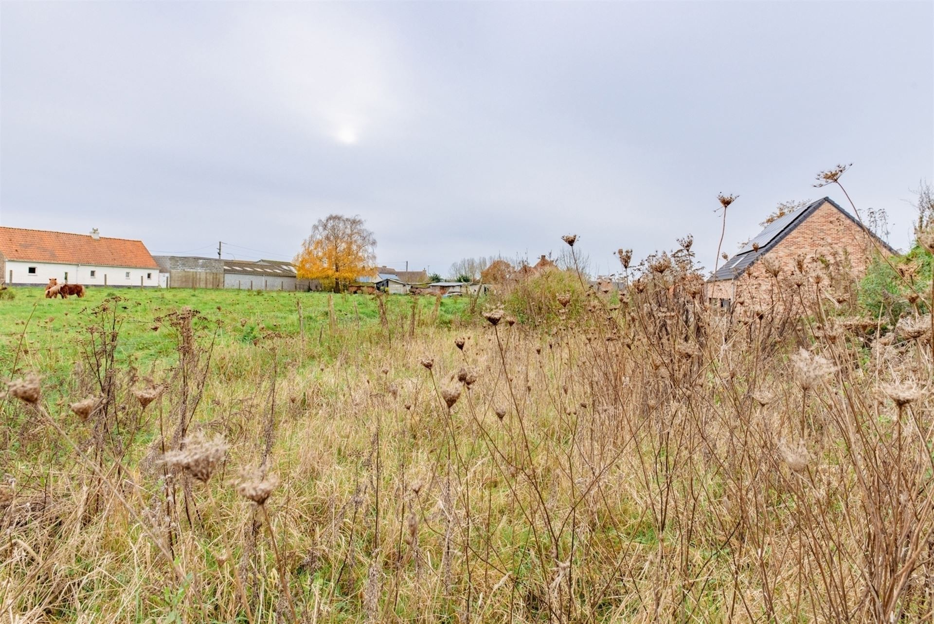 Bouwgrond te koop in Kluisbergen foto 5