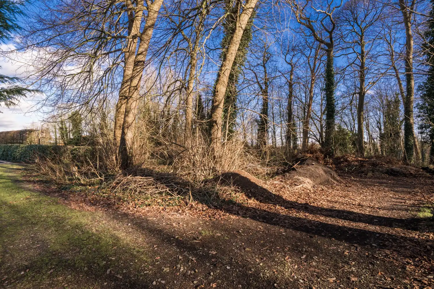 Exclusieve bouwgrond aan de Lembeekse Bossen! foto 3