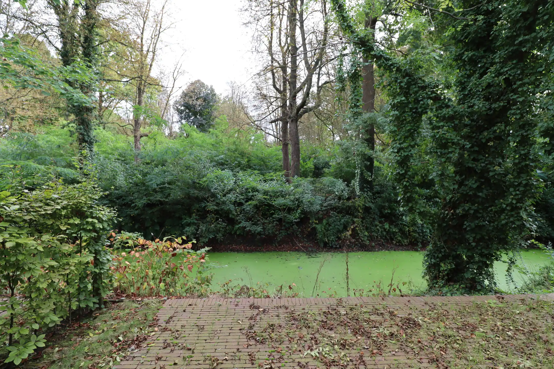 Prachtig appartement op exclusieve locatie te Bornem foto 18