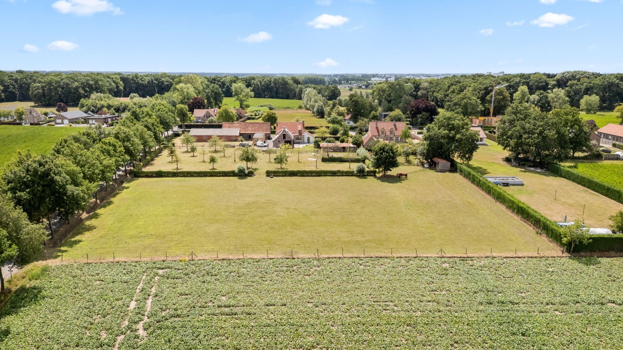 Charmante hoeve met paardenstallingen en schuur op 11.908 m² vlakbij het Drongengoed foto 6