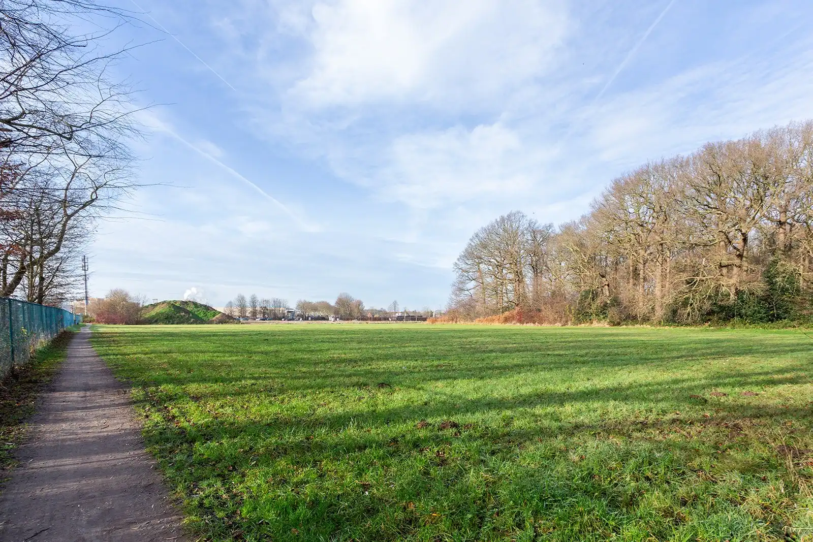 Uniek domein met villa, magazijn en uitgestrekte gronden foto 4