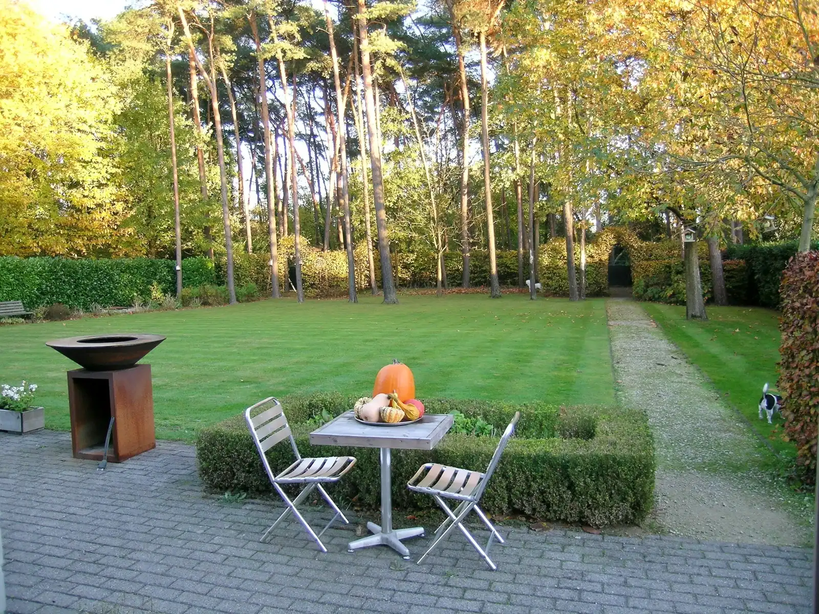 Te renoveren gelijkvloerse villa op 2265 m² in "Den Drijhoek" foto 2