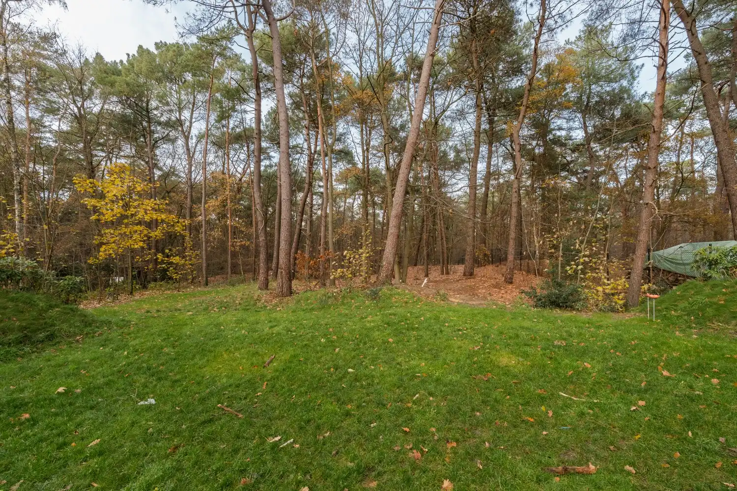 Handelspand met magazijn op zichtlocatie – Kamperbaan 114, Hechtel foto 36