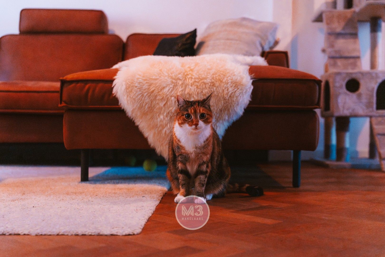 Charmante woning met tuin en garage in het hart van Bornem foto 4