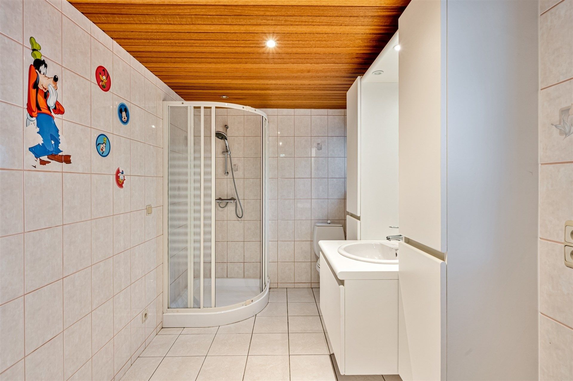 Bijzonder ruime woning met tuin en garage foto 15