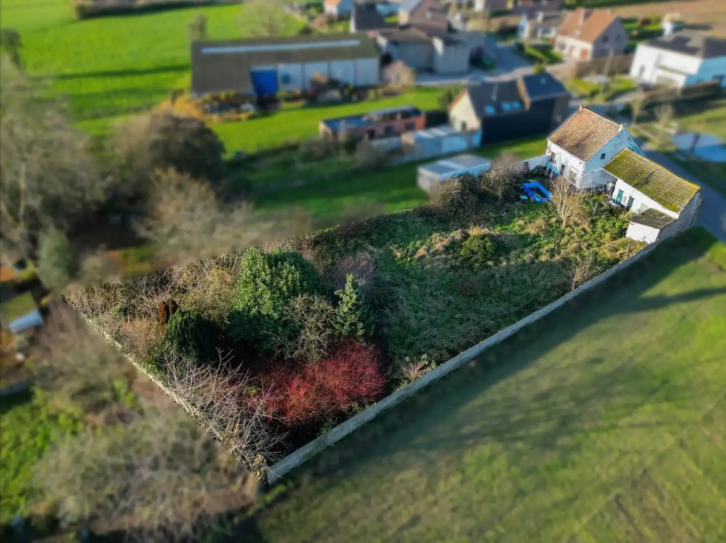  foto {{pictureIndex}}