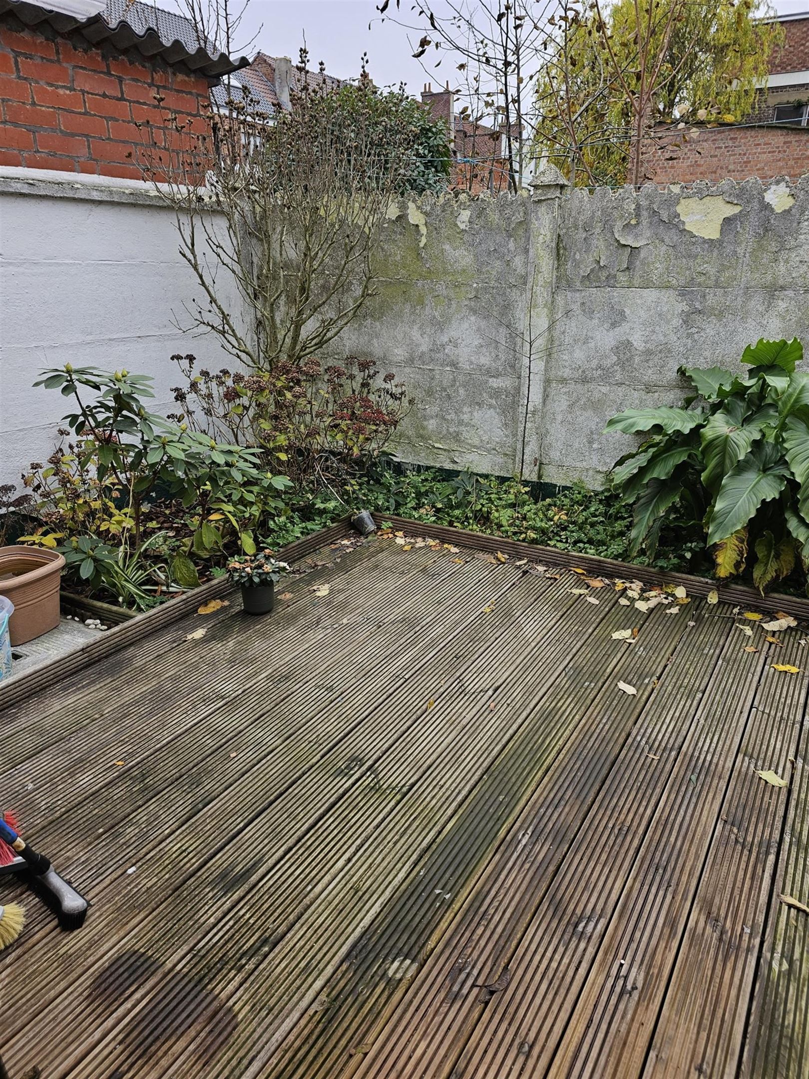 Te renoveren rijwoning op topligging nabij het park van Rozebroeken. foto 12