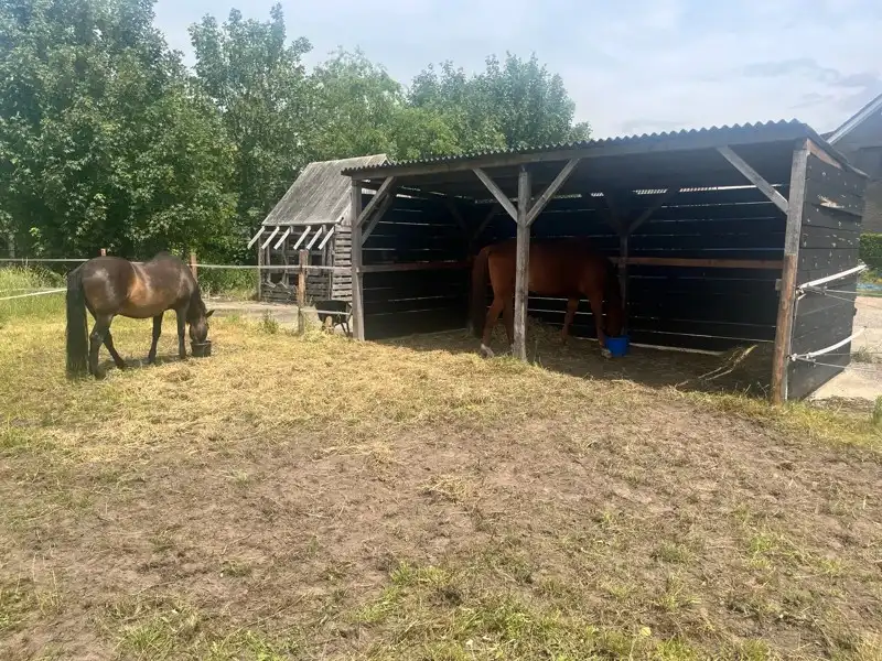 VERKOCHT - VILLA MET 4 SLAAPKAMERS EN TUIN&WEIDE (3314m²) EN 3 PAARDENSTALLEN foto 40