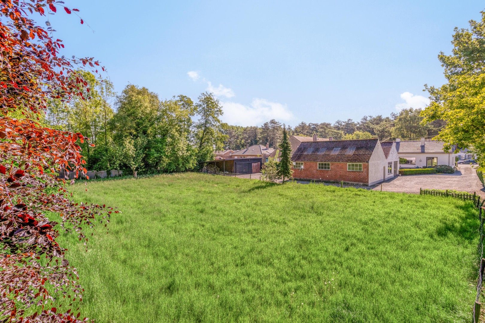 Instapklare Woning met Vergunde Loods en Kantoorruimte! foto 24