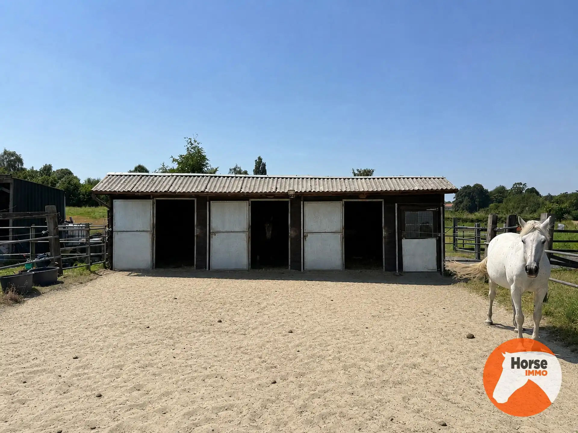 ASSE - Paardenaccommodatie op 1,07ha met 3 vergunde stallen foto 3