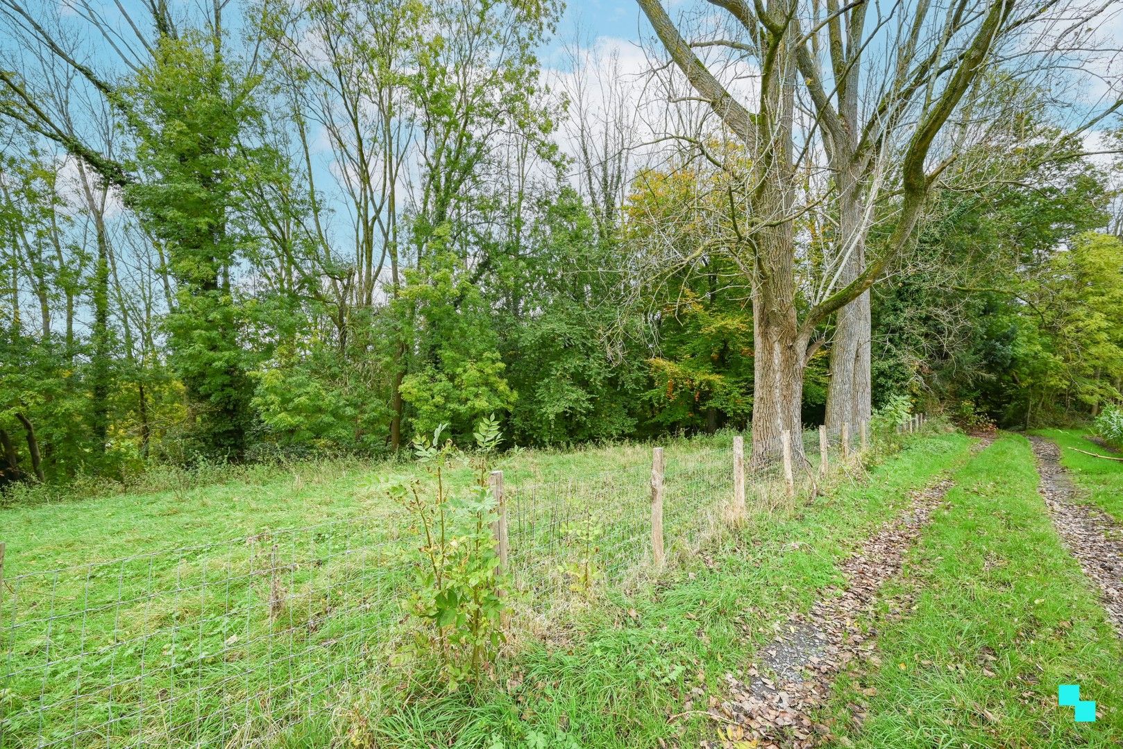 Uniek stuk bosgrond in Ronse foto 10