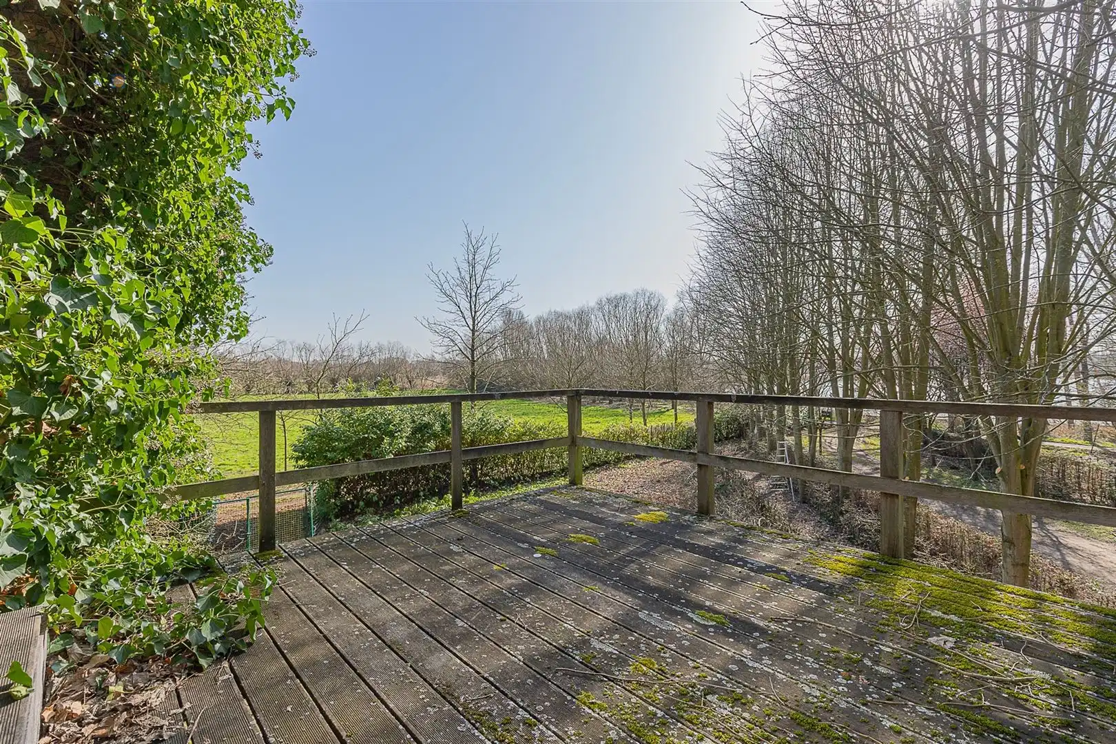Uitzonderlijk domein met enorm potentieel in Willebroek foto 23