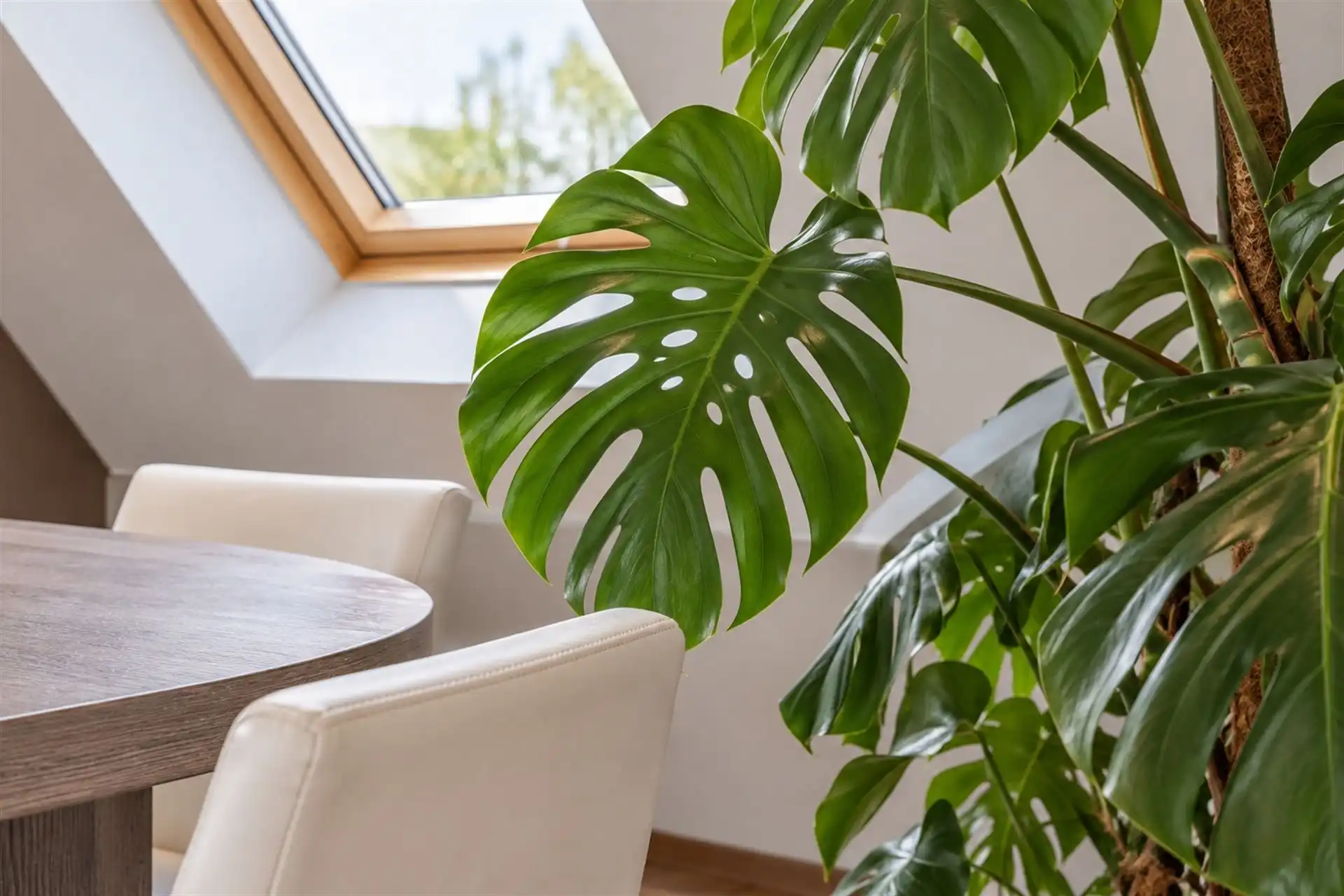 Ruim dakappartement met 50 m² zuidgericht terras + zolder foto 5