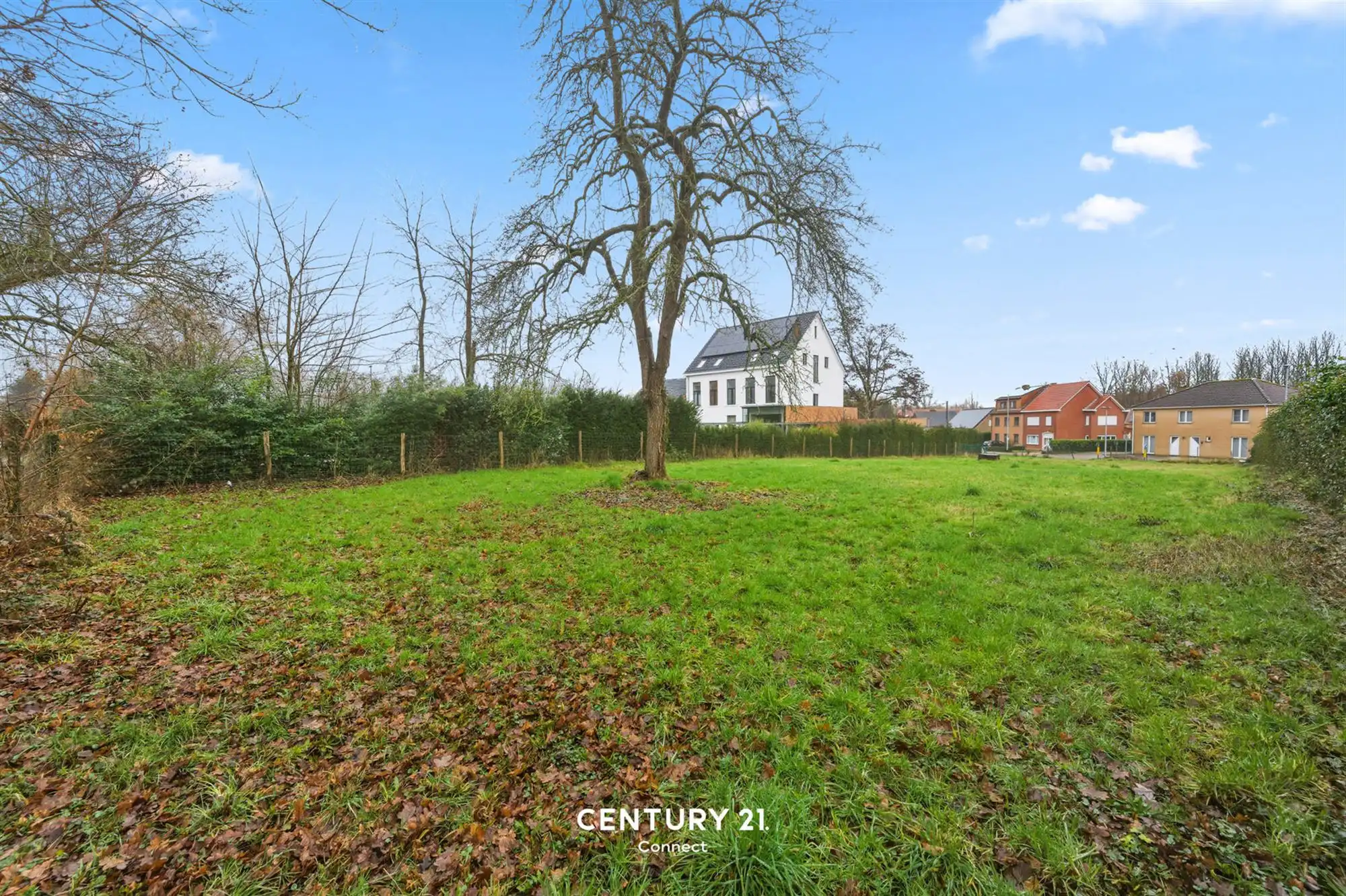 Zuid gerichte bouwgrond van 11a 24ca te Bierbeek foto 10