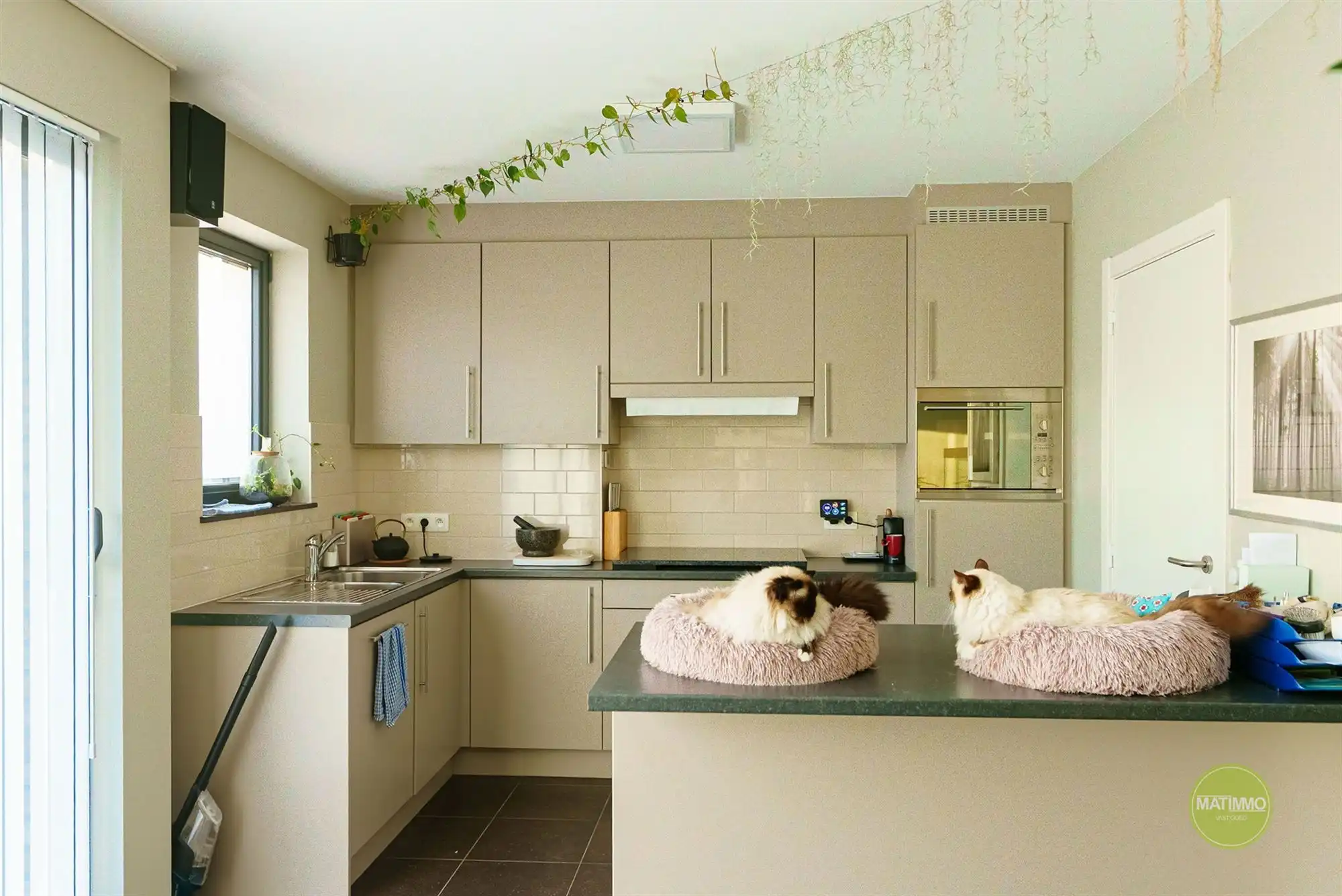 Energiezuinig gelijkvloers appartement met 2 slpks te Mol foto 2