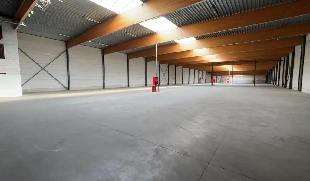 Gerenoveerd magazijn te huur aan A12 in Wilrijk foto 6