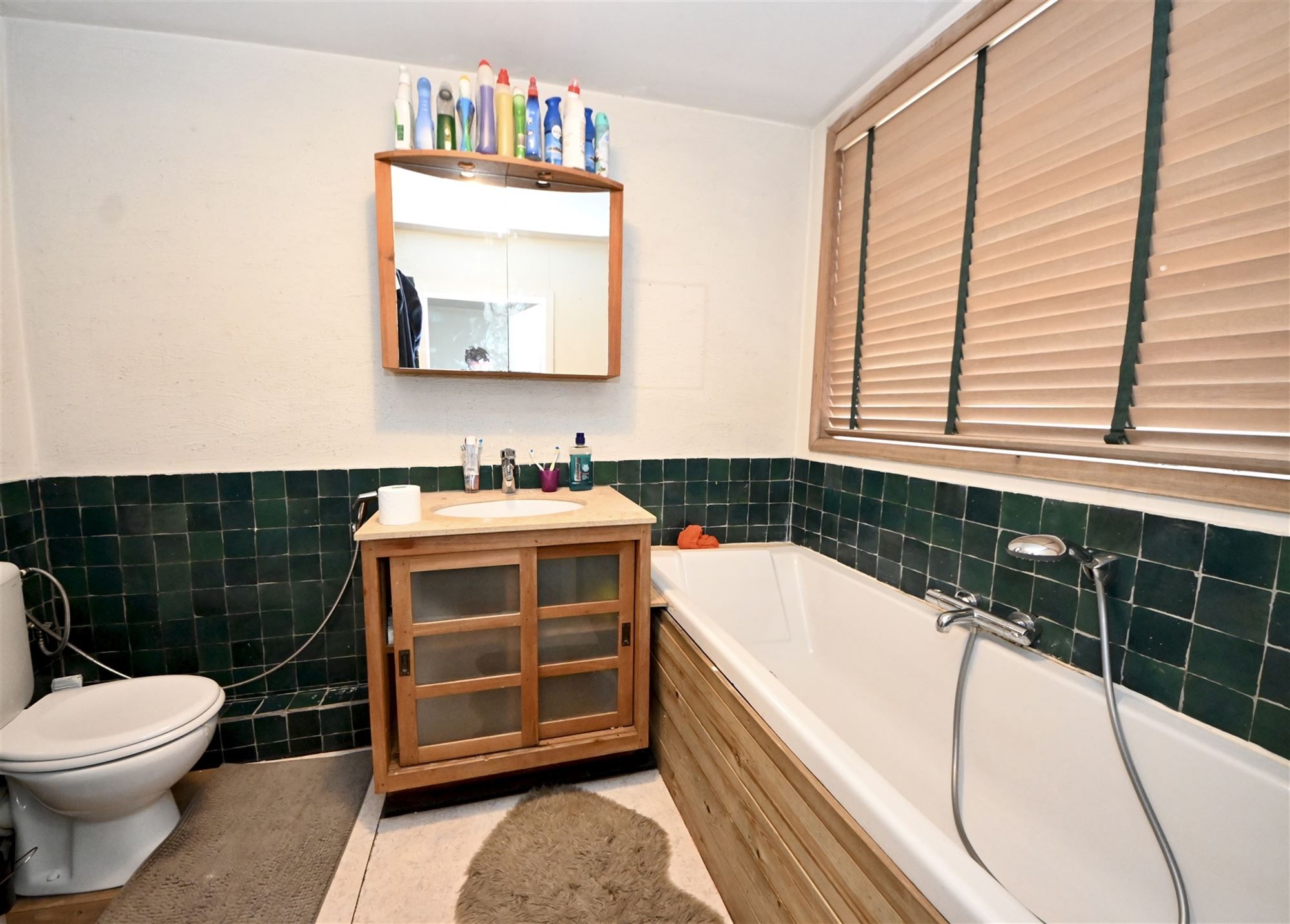 Handelsruimte met duplex appartement en tuin.  foto 19