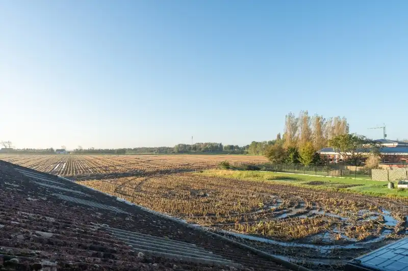 WONING MET  GROTE LOODS MET geintegreerde STUDIO foto 24