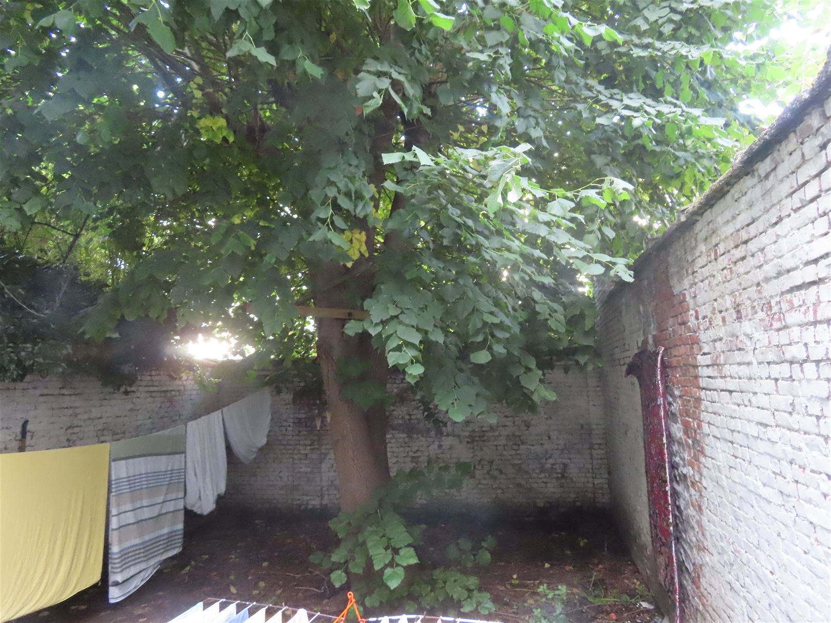 Herenhuis met talrijke mogelijkheden en met stadstuin! foto 4