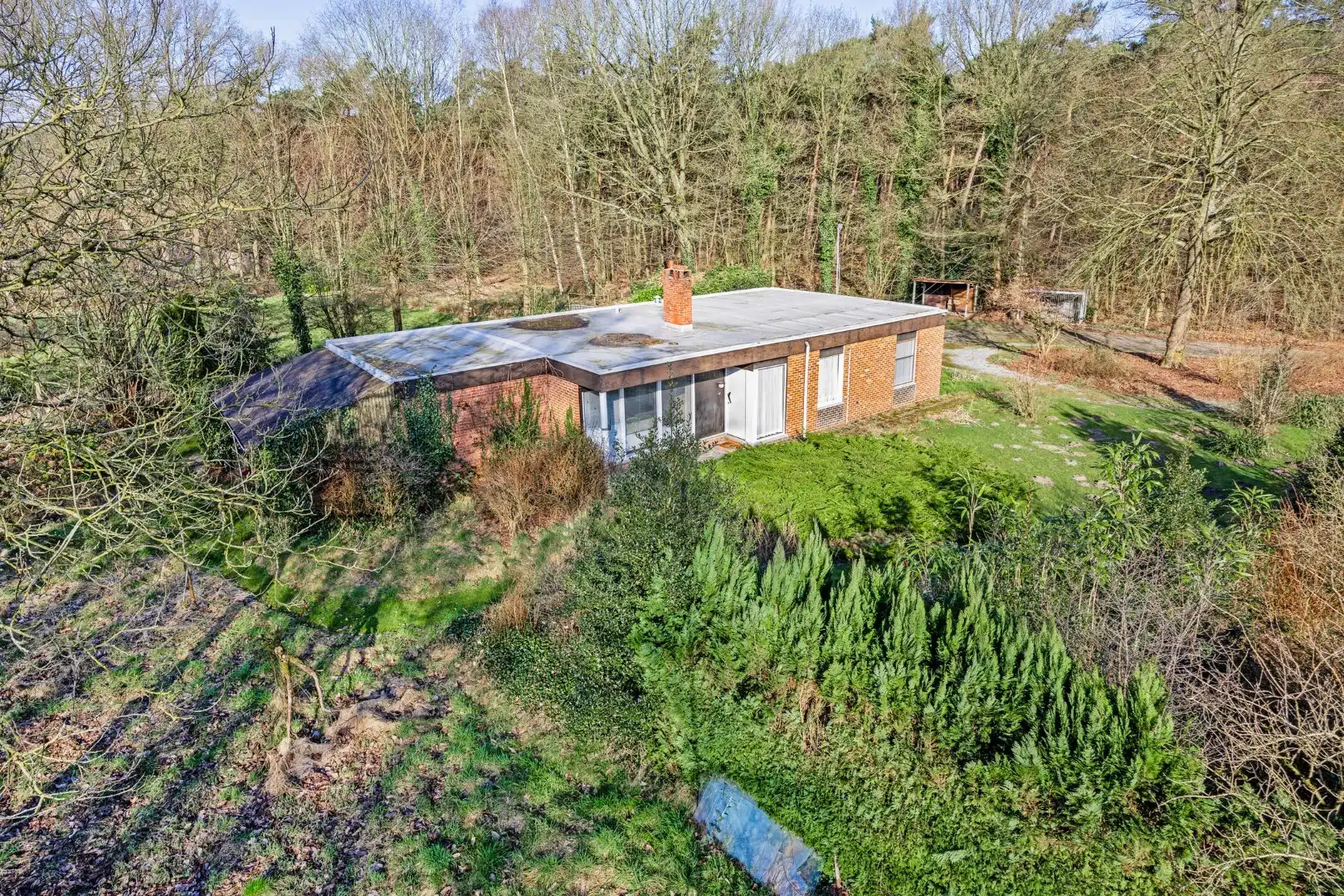 Unieke woonst op 13 hectare: rust, natuur en eindeloze mogelijkheden! foto 3