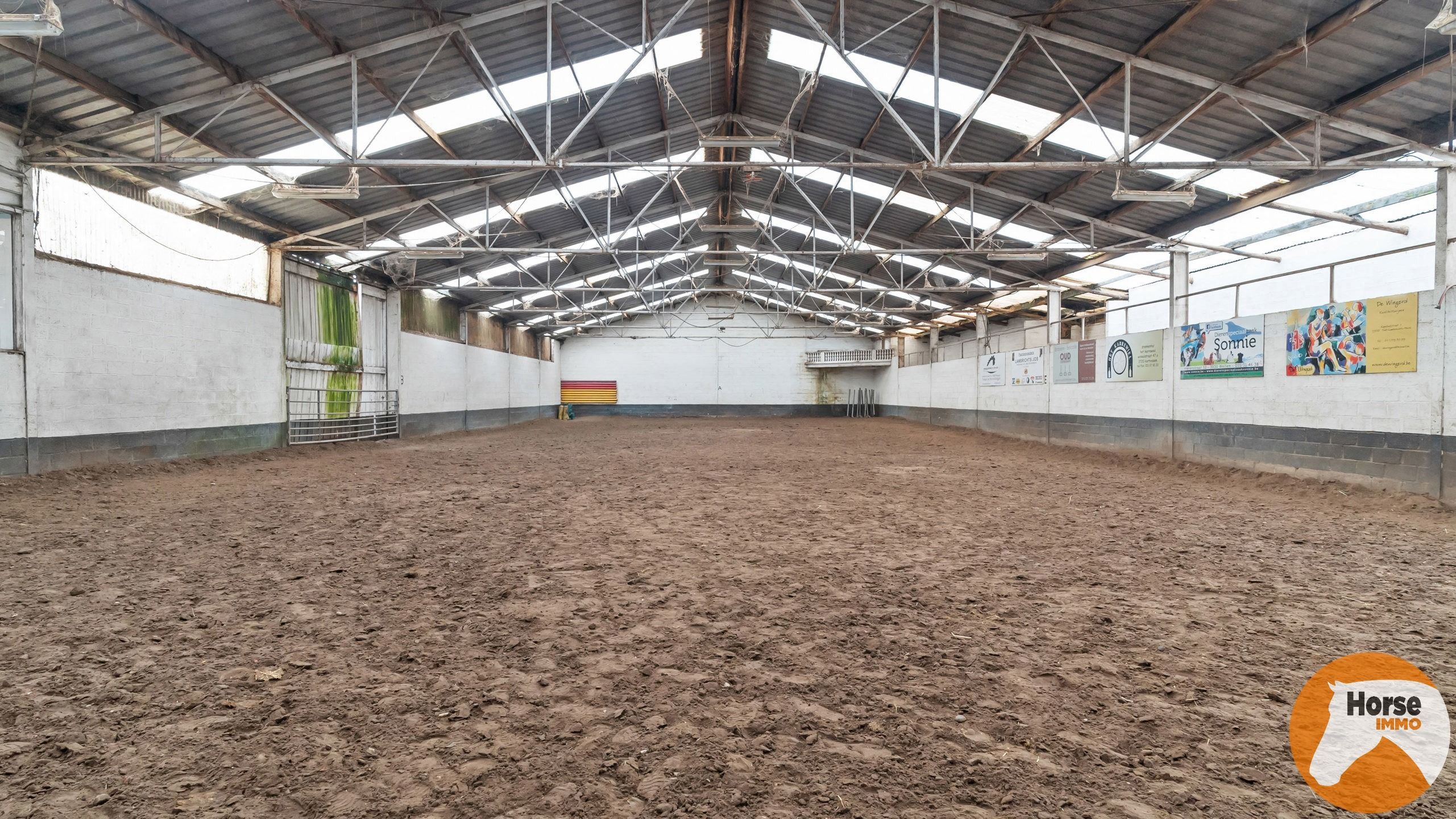 HASSELT (Kortessem) - Manege met veel potentieel! foto 4