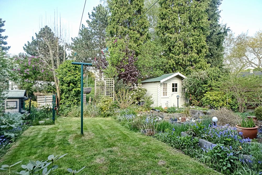 Huis te huur foto 2