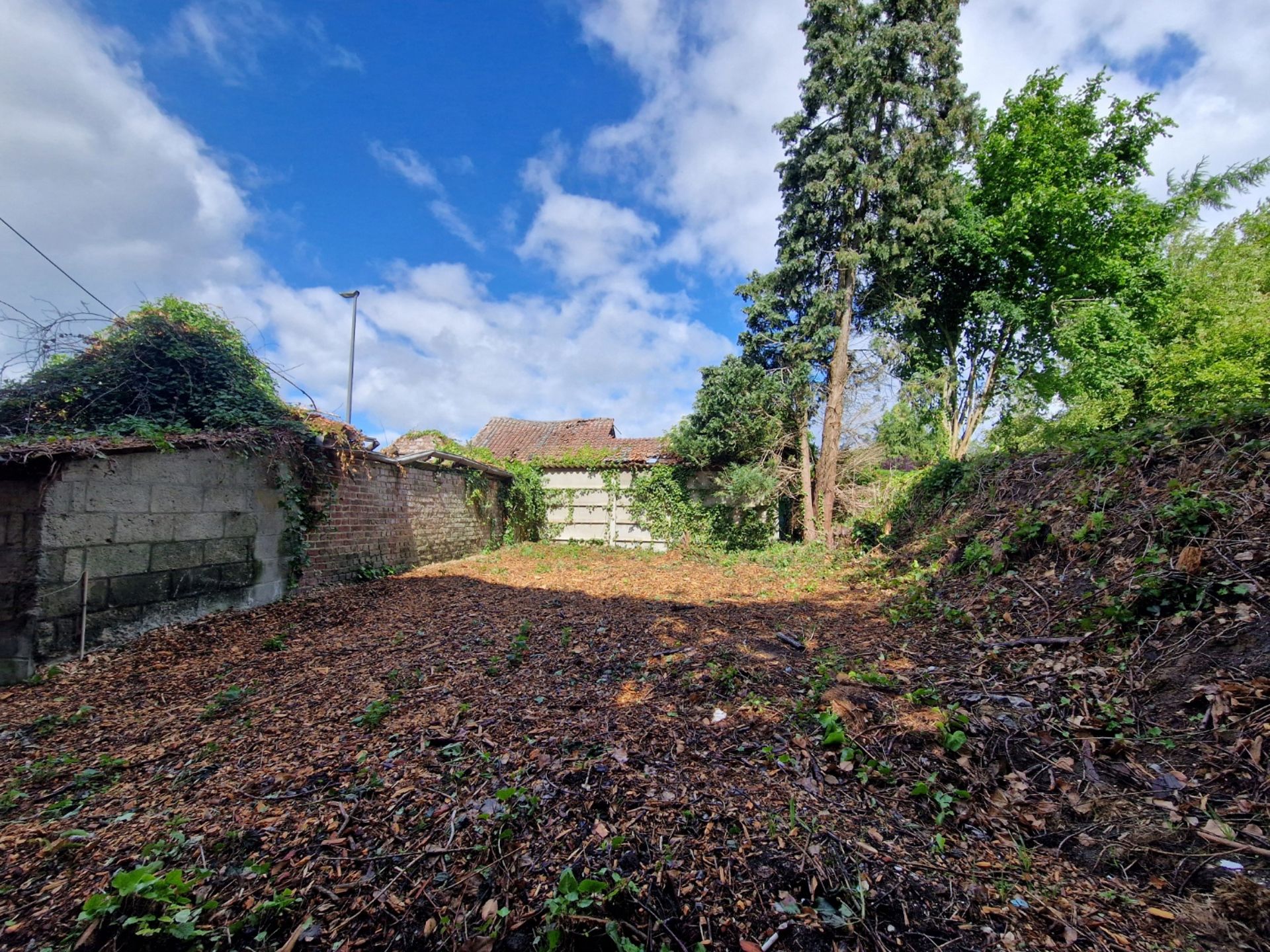Te renoveren woning op rustige ligging te Bierbeek foto 12