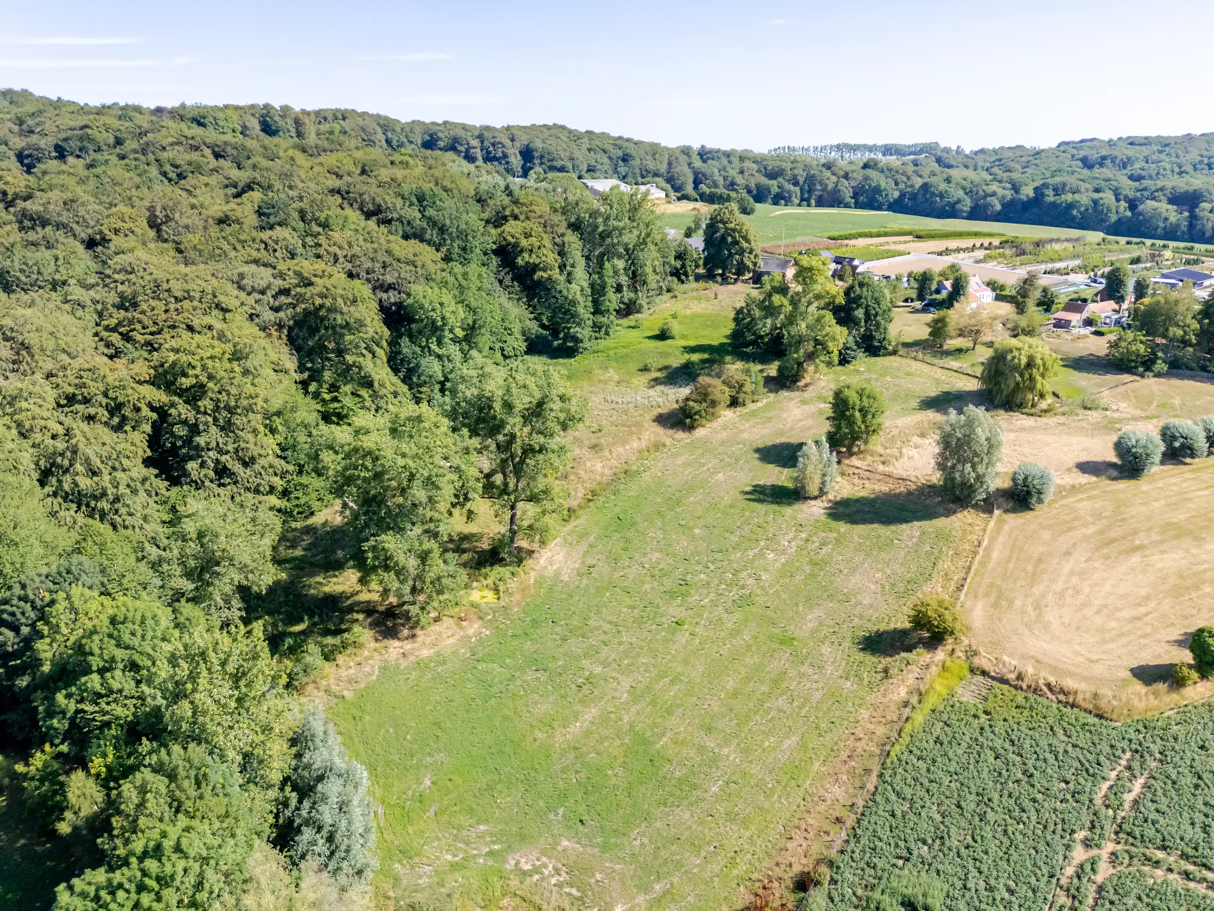 Uitzonderlijke bouwgrond met 14.220 m² aan de Kanarieberg foto 2