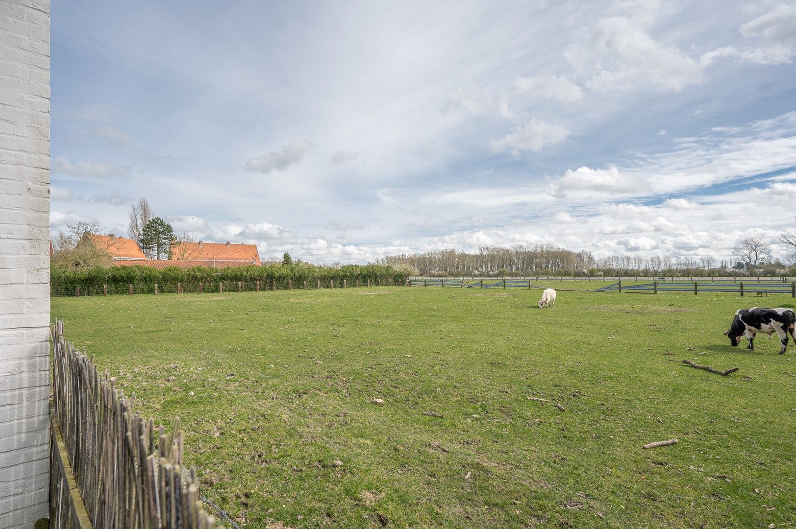 Uitzonderlijke eigendom met een uniek open zicht op de Hazegraspolders, vlakbij het Oosthoekplein. foto 7