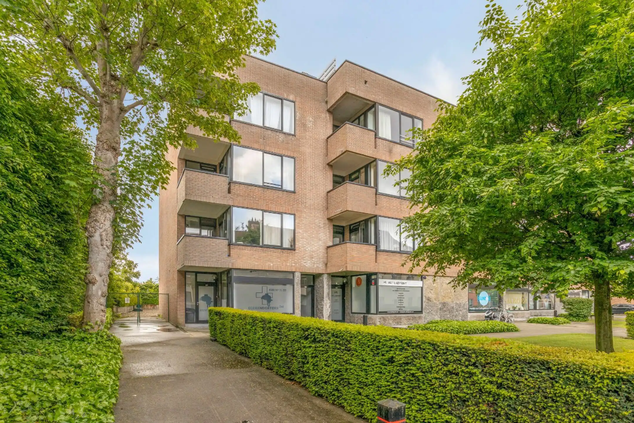 Gelijkvloerse handelsruimte op commerciële toplocatie foto 16