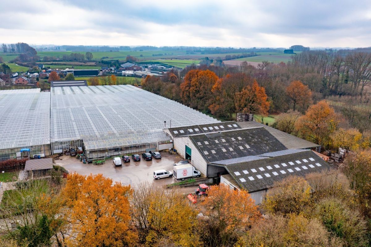 Groot serrebedrijf te koop te Lennik foto 8