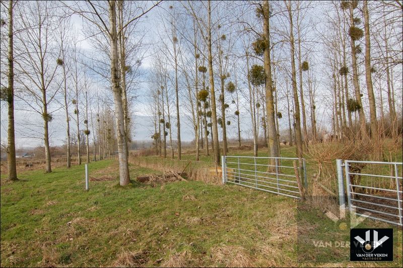 11,5 hectaren landbouwgrond foto 15