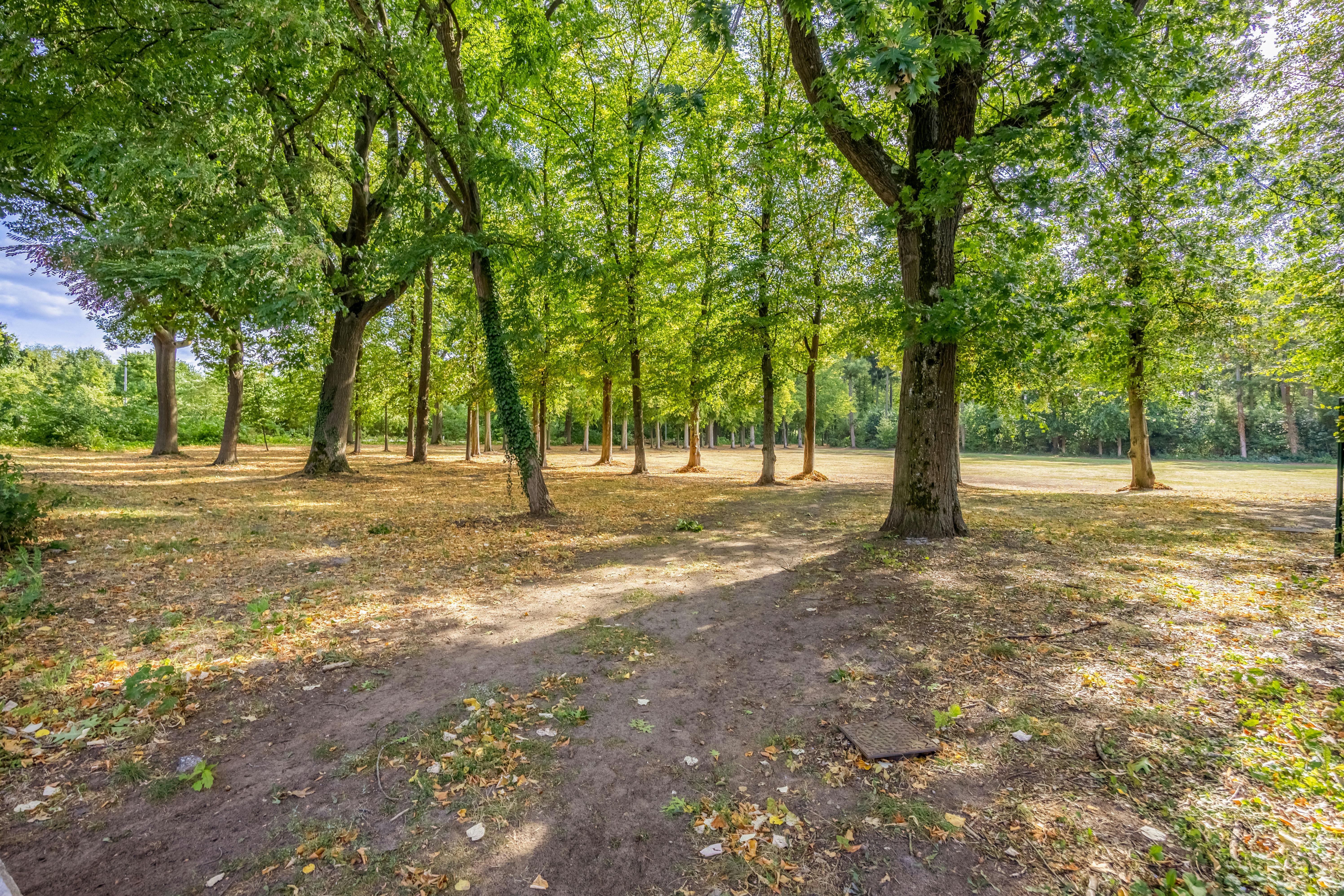 Uniek commercieel pand, klooster ‘Royer Heide’ in Diepenbeek foto 17
