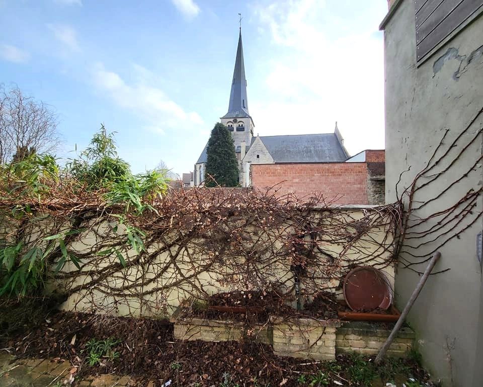 Uw vrouw zal u niet lang moeten missen... foto 13