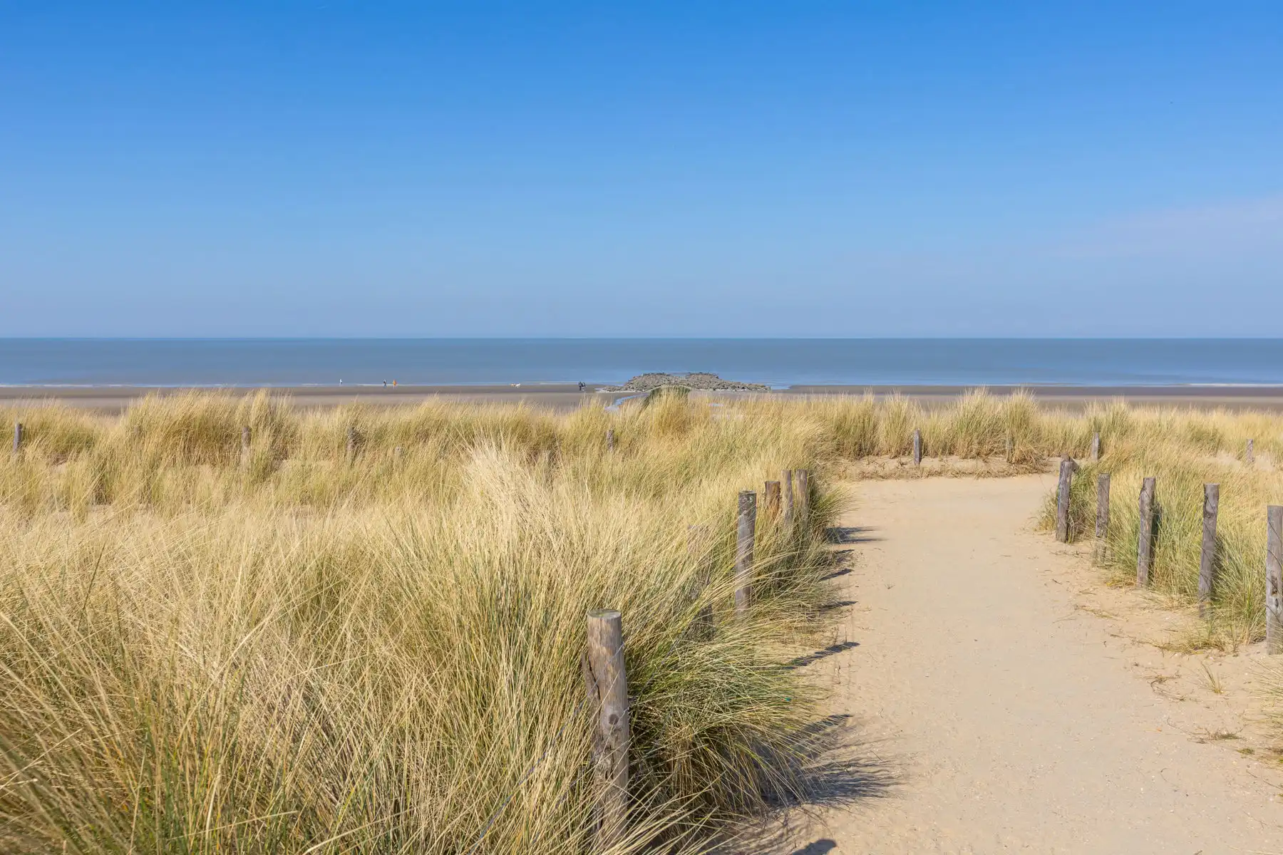 Res. REIGERSNEST foto 35