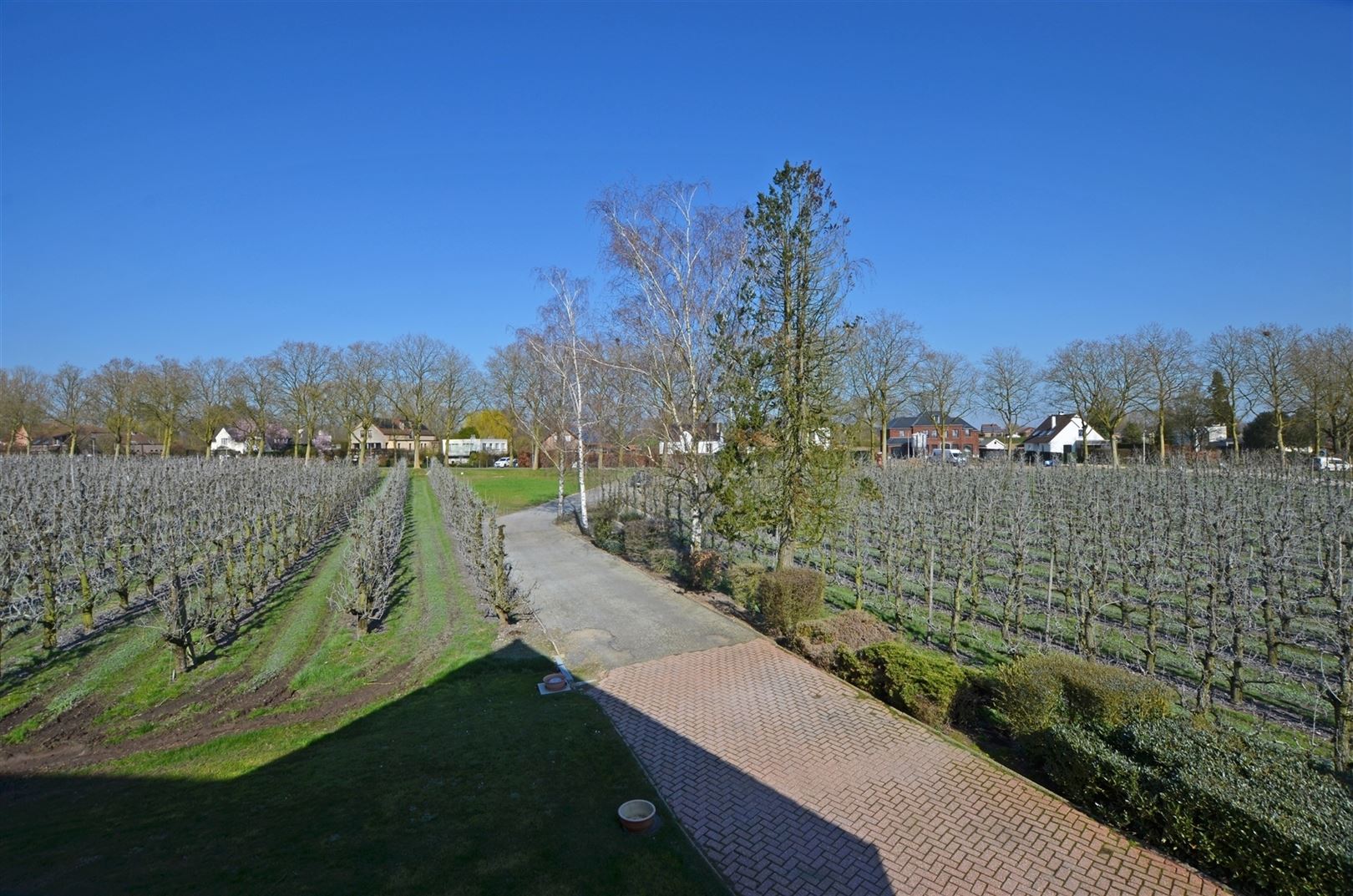 Villa met bouwgrond in residentiële straat  foto 4