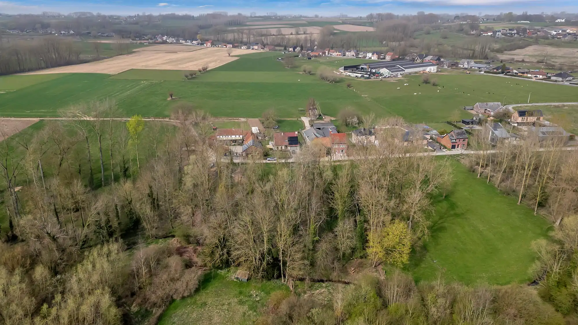 Perceel bosgrond op rustige locatie foto 6