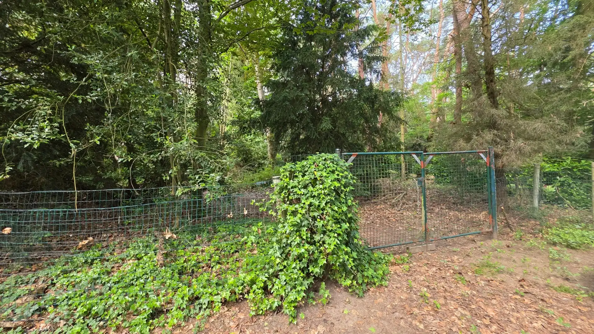 Grond te koop Helskensstraat 44 -/+ - 3120 Tremelo