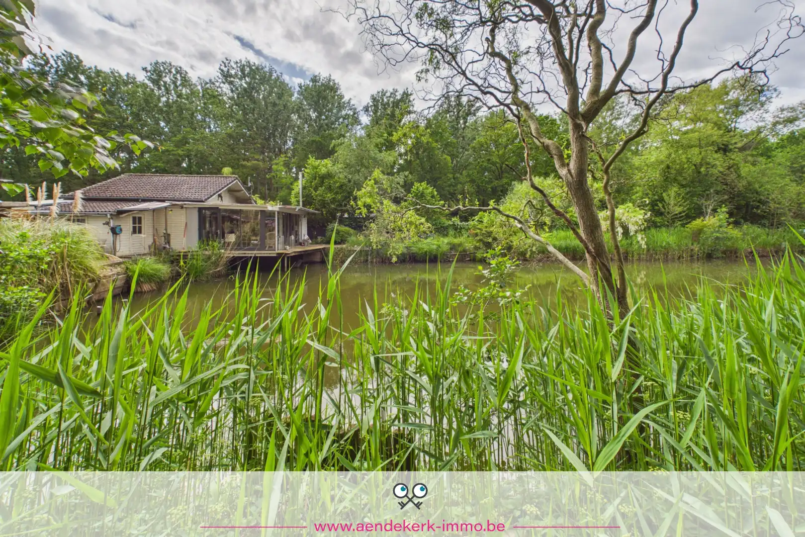 Bijzondere recreatie-eigendom met vijver en bemeubelde chalet te Maaseik foto 24