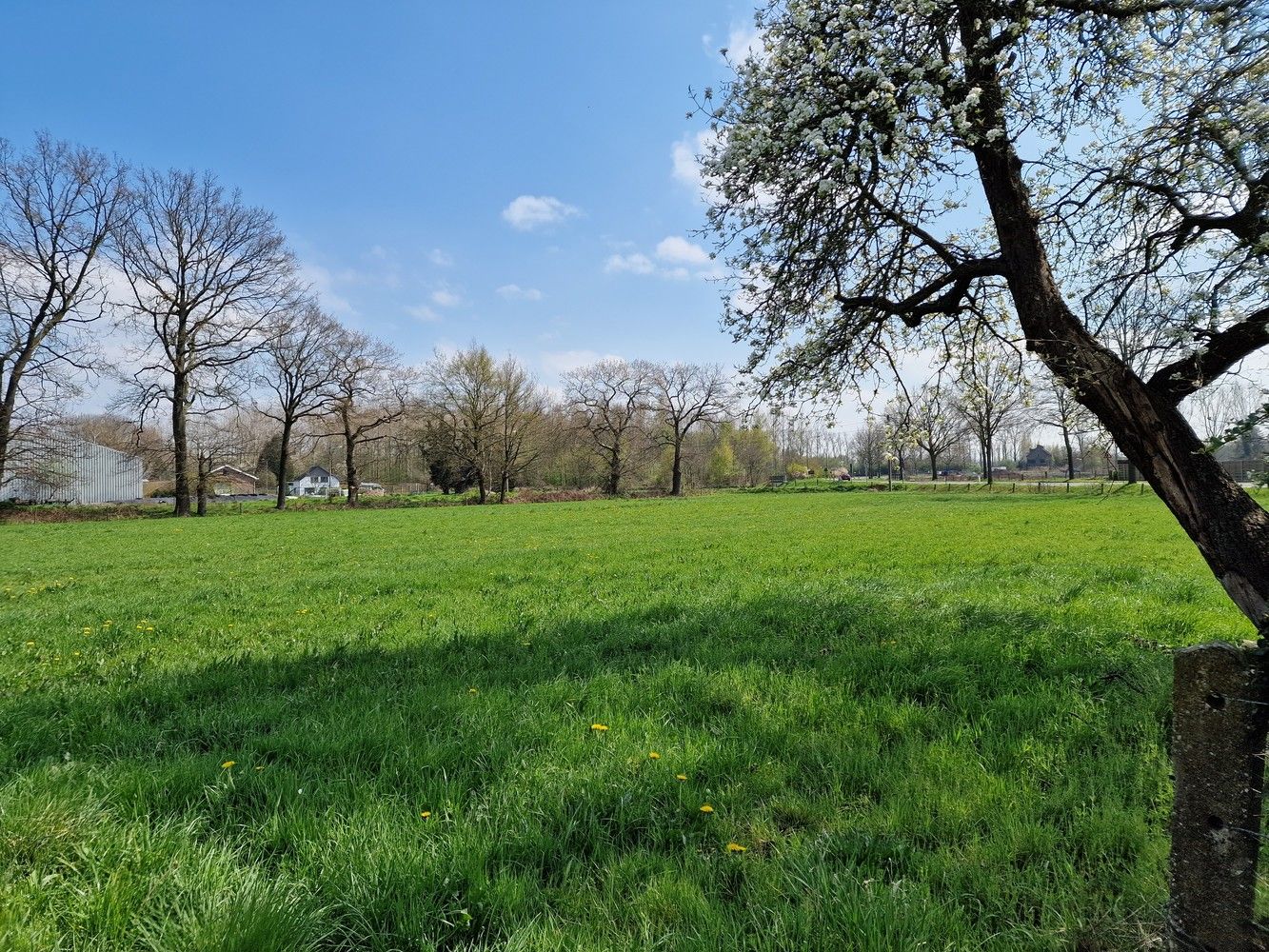 Hoeve Op de hoef foto 8