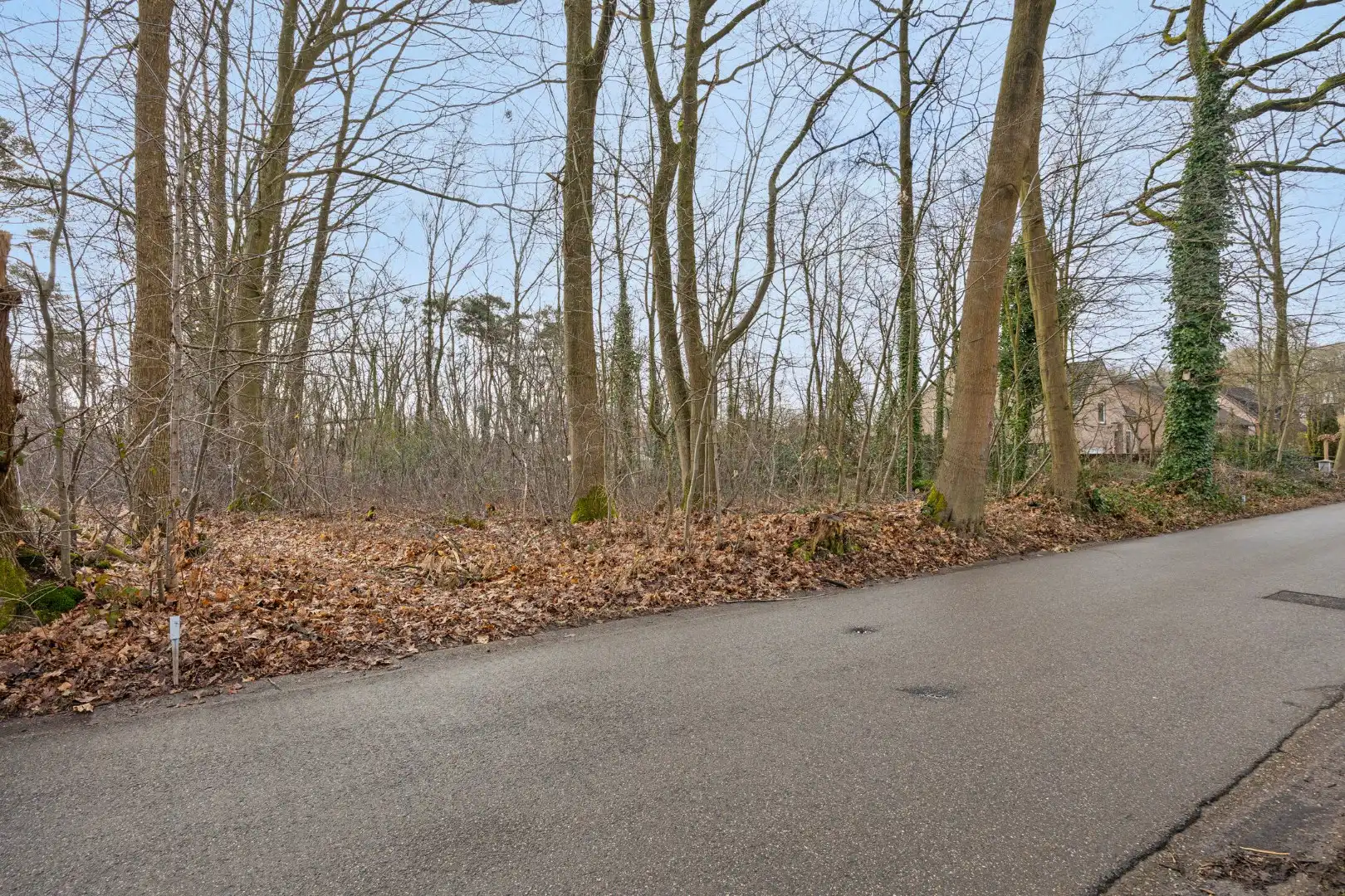 2 BOUWGRONDEN VOOR OPEN BEBOUWING EN ACHTERLIGGENDE GRONDEN in de bosrijke villabuurt op de Bosstraat te Lanaken!  foto 11