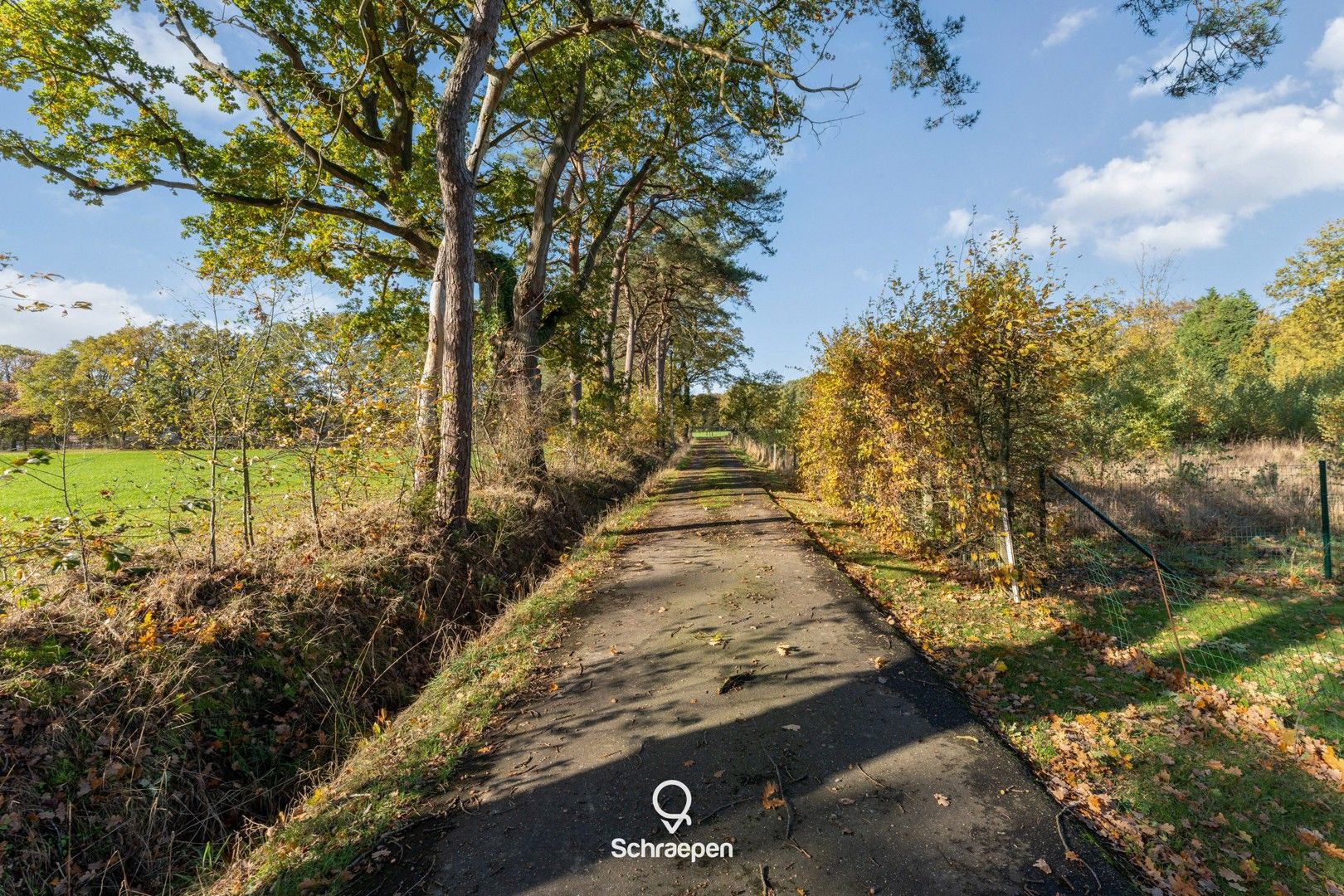 Idyllisch gelegen woning op een riant perceel van 81 are te Hasselt! foto 4