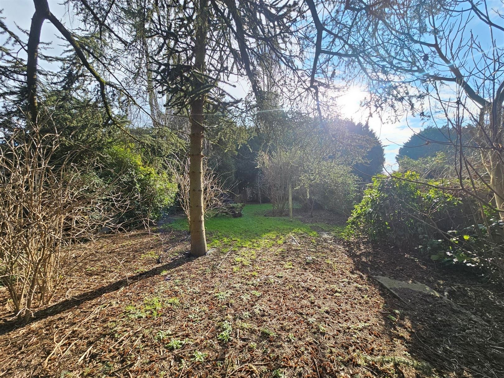 Te renoveren handelspand met woning foto 4