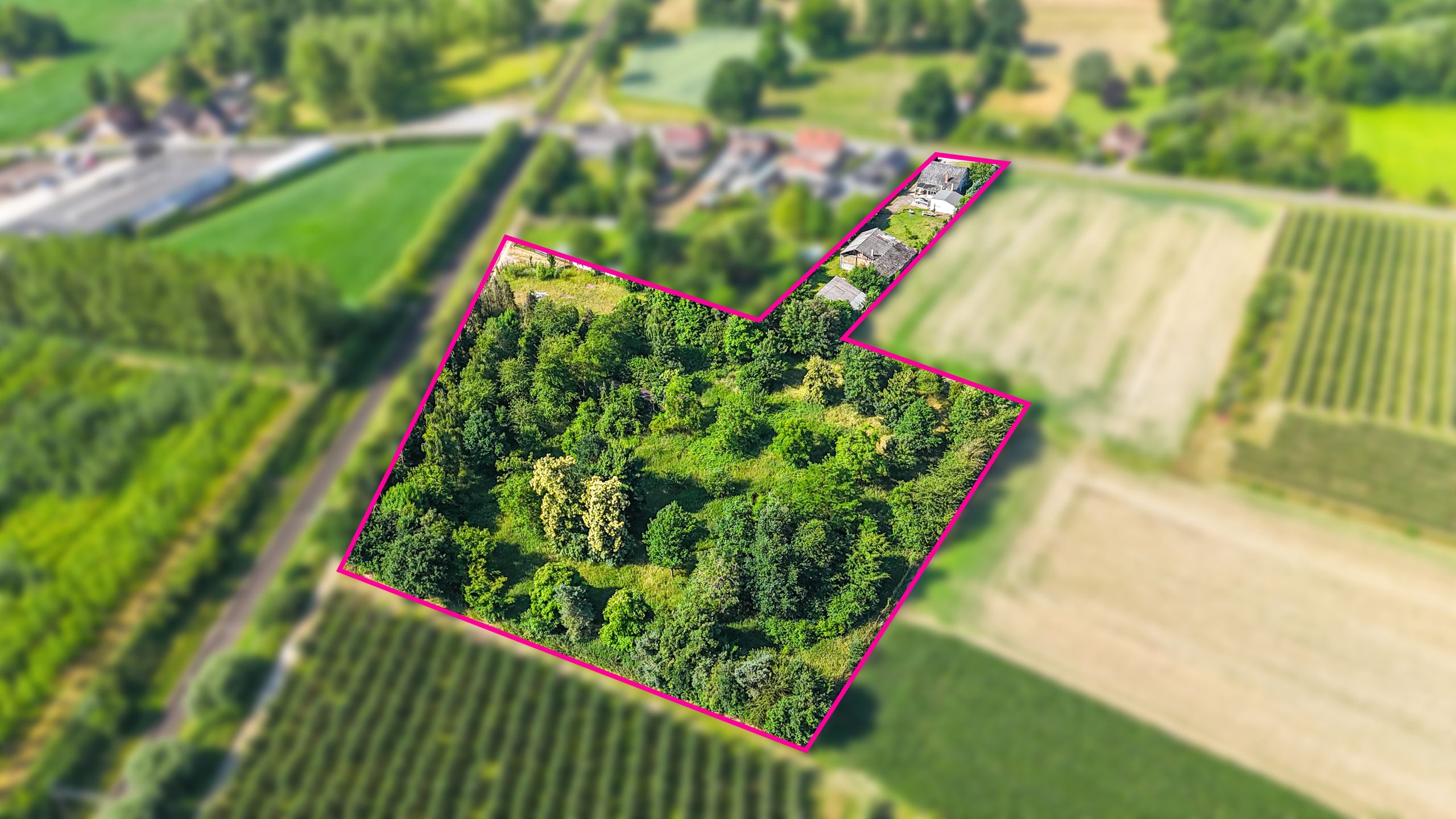 Vrijstaande woning met hangar en groot stuk grond-13.000m²! foto 45