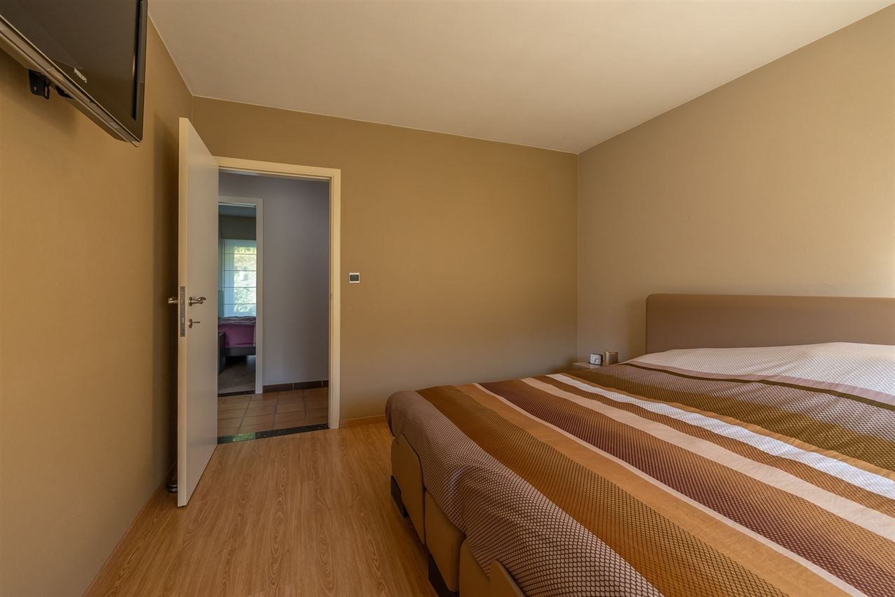 verborgen parel in het groen foto 51