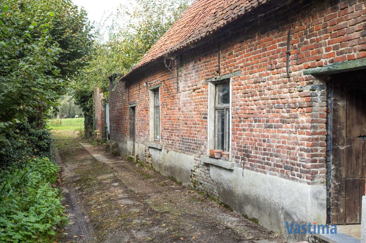 Charmant hoevetje met schuur in een groene oase foto 17