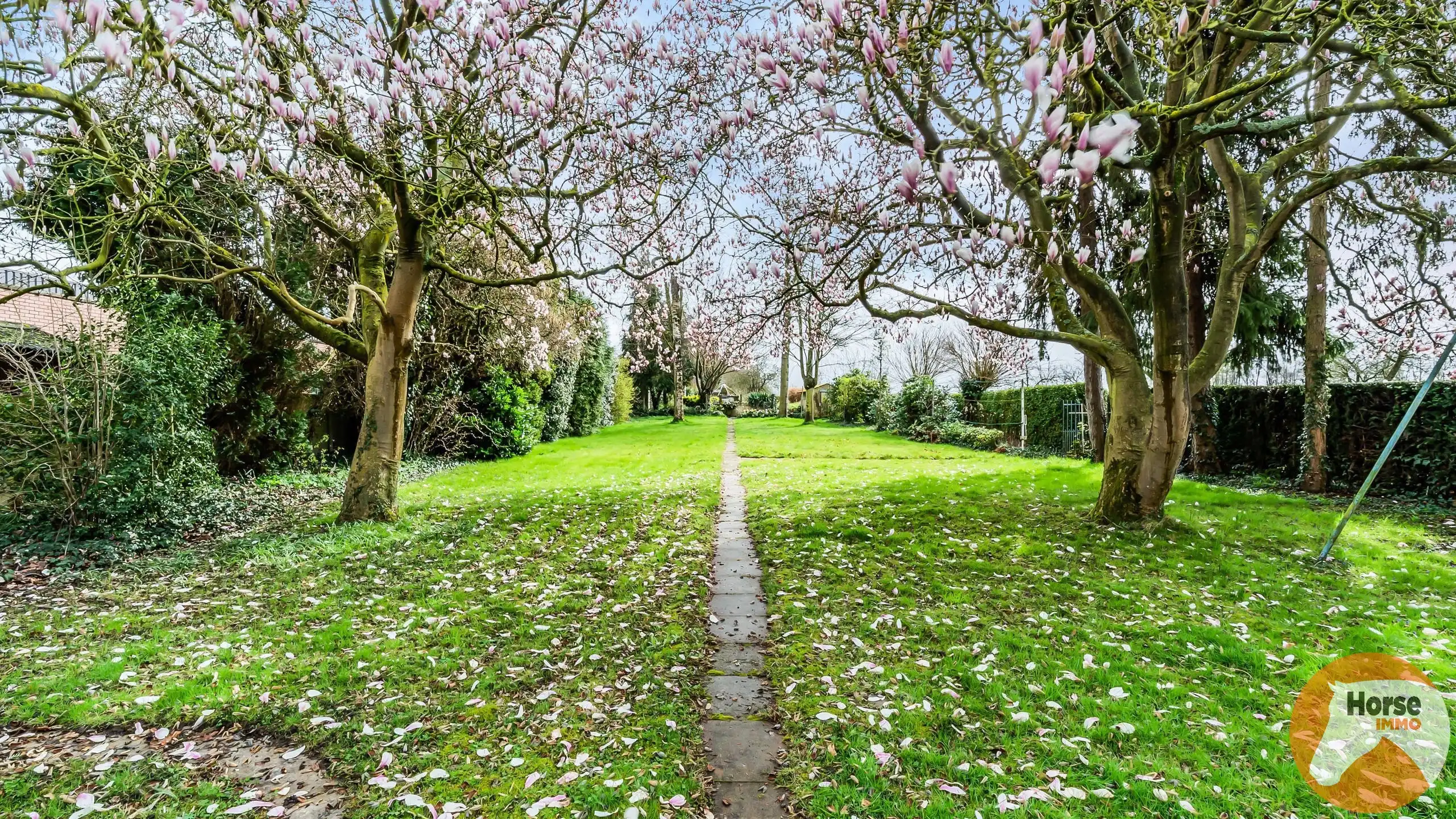 ZWALM - Villa op +/-1,1HA foto 28